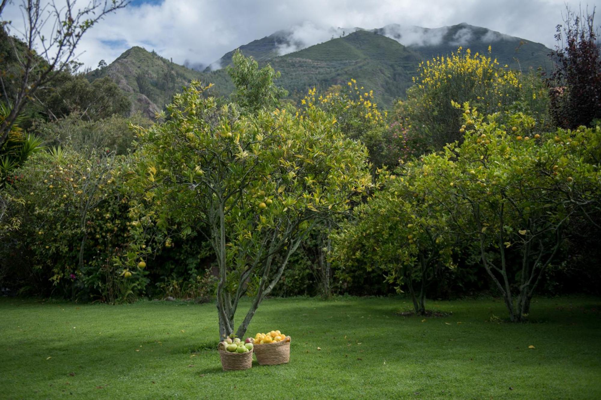Andenia Boutique Hotel, Sacred Valley Urubamba Luaran gambar