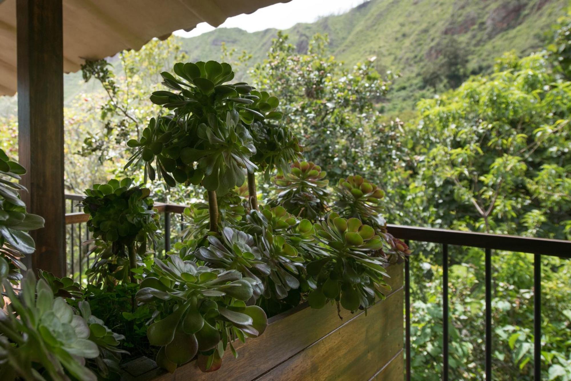 Andenia Boutique Hotel, Sacred Valley Urubamba Luaran gambar